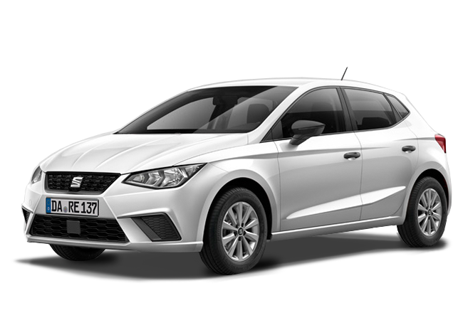 Seat Ibiza or similar